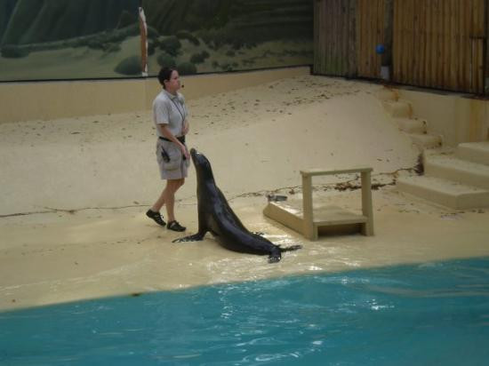 休士顿动物园-休斯顿必去景点