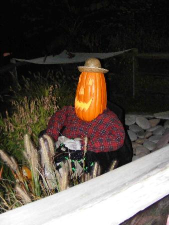 格兰特农场-圣路易斯必去景点