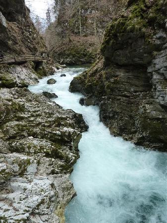 文特加峡谷（Soteska Vintgar）景点图片