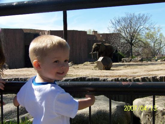 Sedgwick County Zoo景点图片