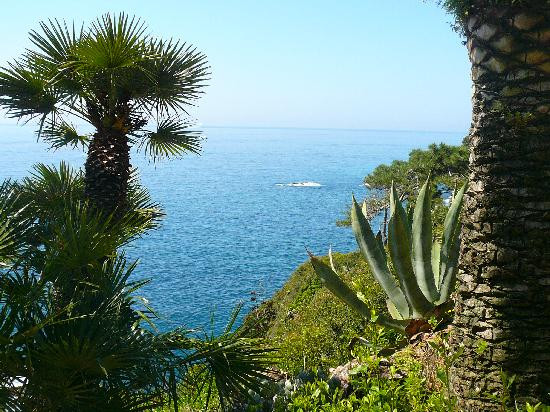 Jardí Botànic Marimurtra-布拉内斯必去景点