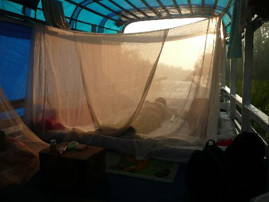 Camp Leakey-Central Kalimantan必去景点