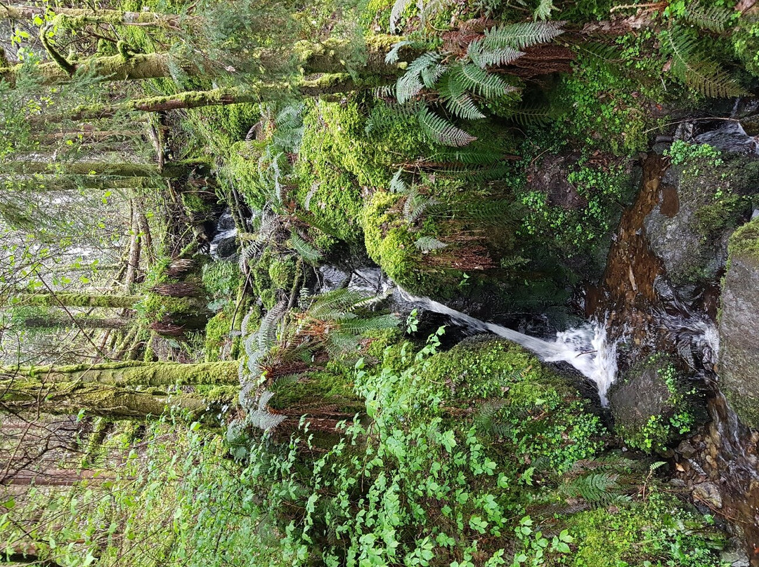 Devils Glen-Wicklow必去景点