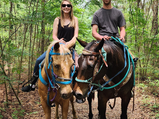 Mustang Moon Equine Solutions-奥卡拉必去景点