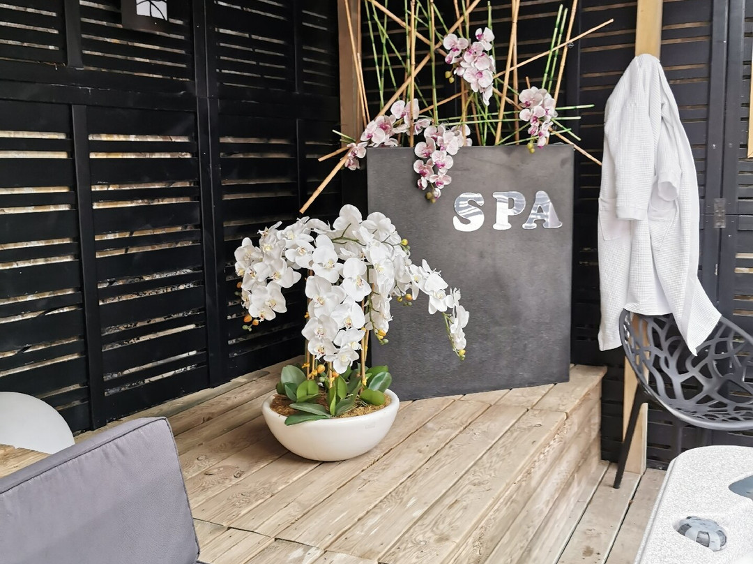 Les Béthunoises Suites & Studios Design主图