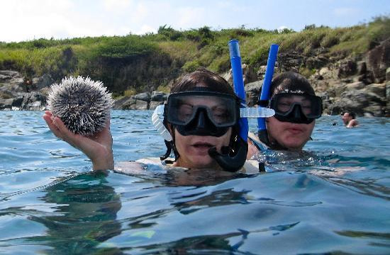 Fury Charters-夏洛特阿马利亚必去景点