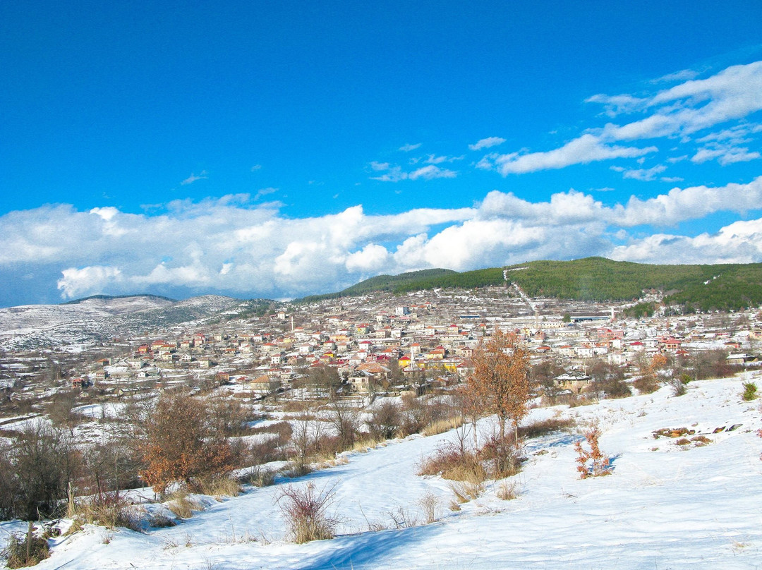Lower Community of Satovcha