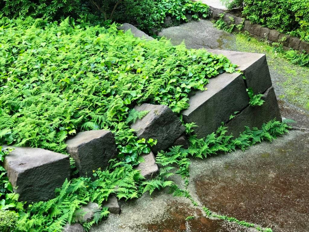 Edo Castle Outer Moat Ruins Tameike Yaguradai