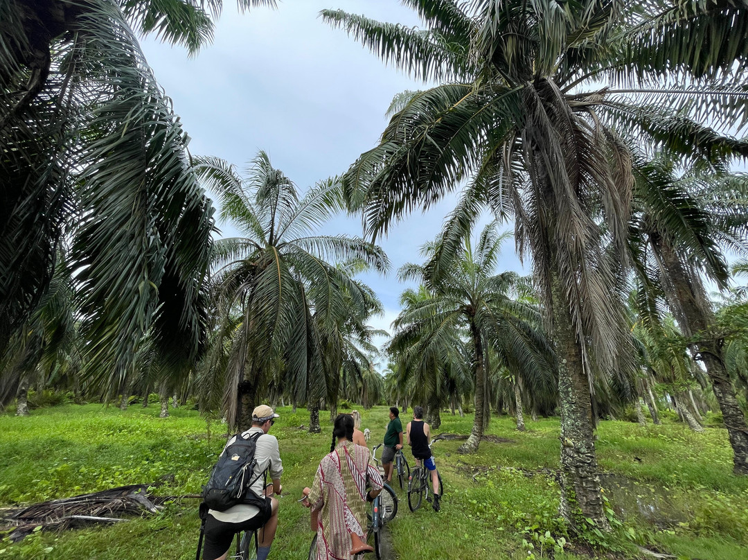 Explore Balik Pulau-浮罗山背必去景点