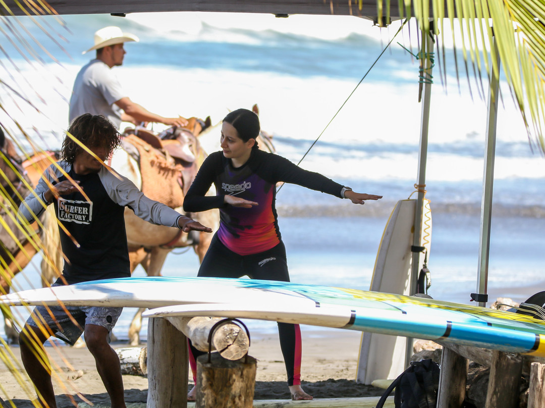 Surfer Factory Surf School景点图片