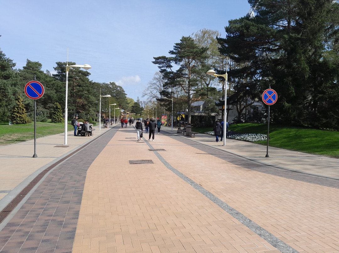 Jonas Basanavičius Street-帕兰加必去景点