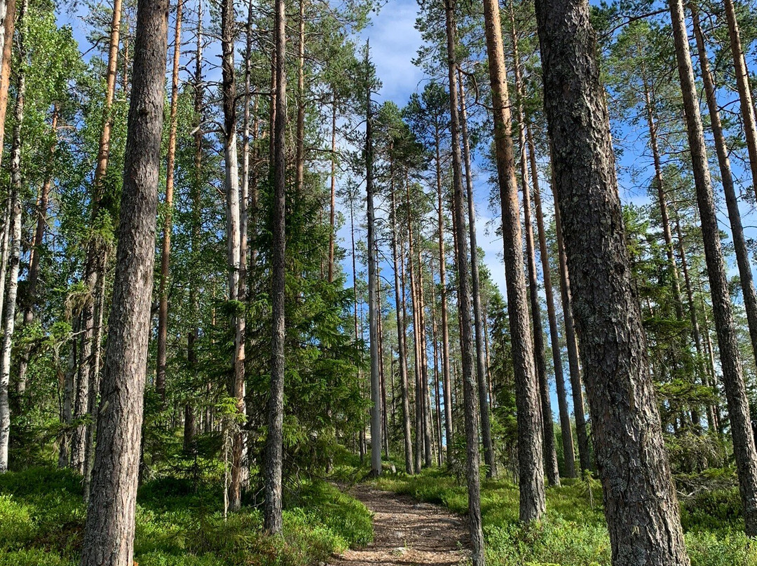 Gideberget