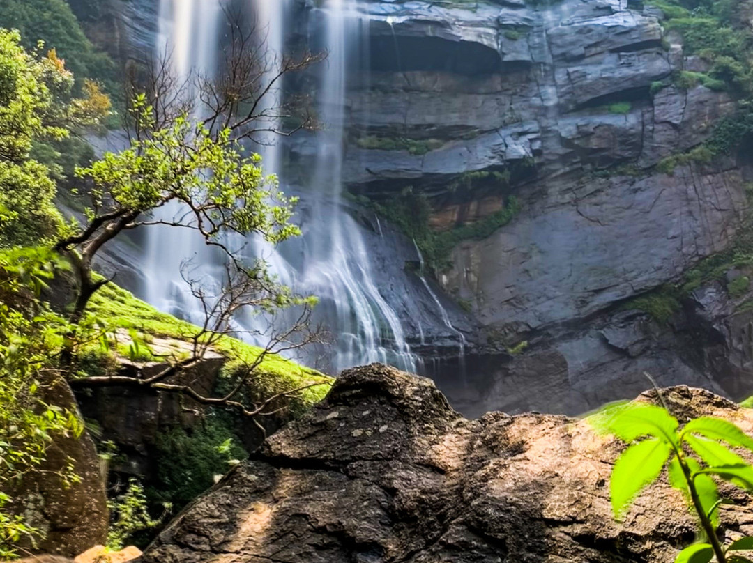 Waterfall Tours景点图片