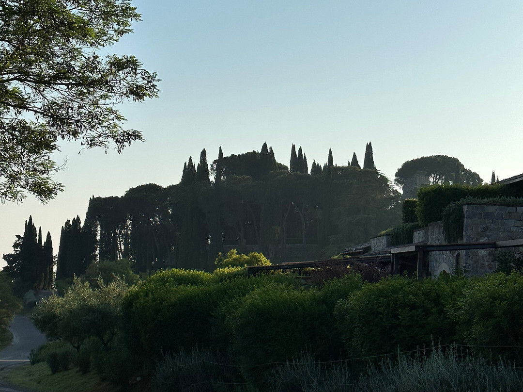 Castiglion del Bosco Winery景点图片