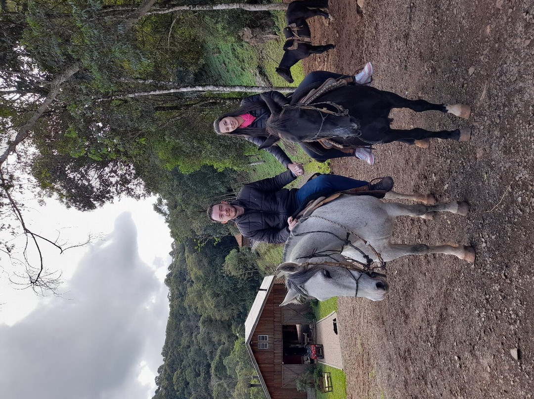 Passeios A Cavalo Gramado-格拉玛多必去景点