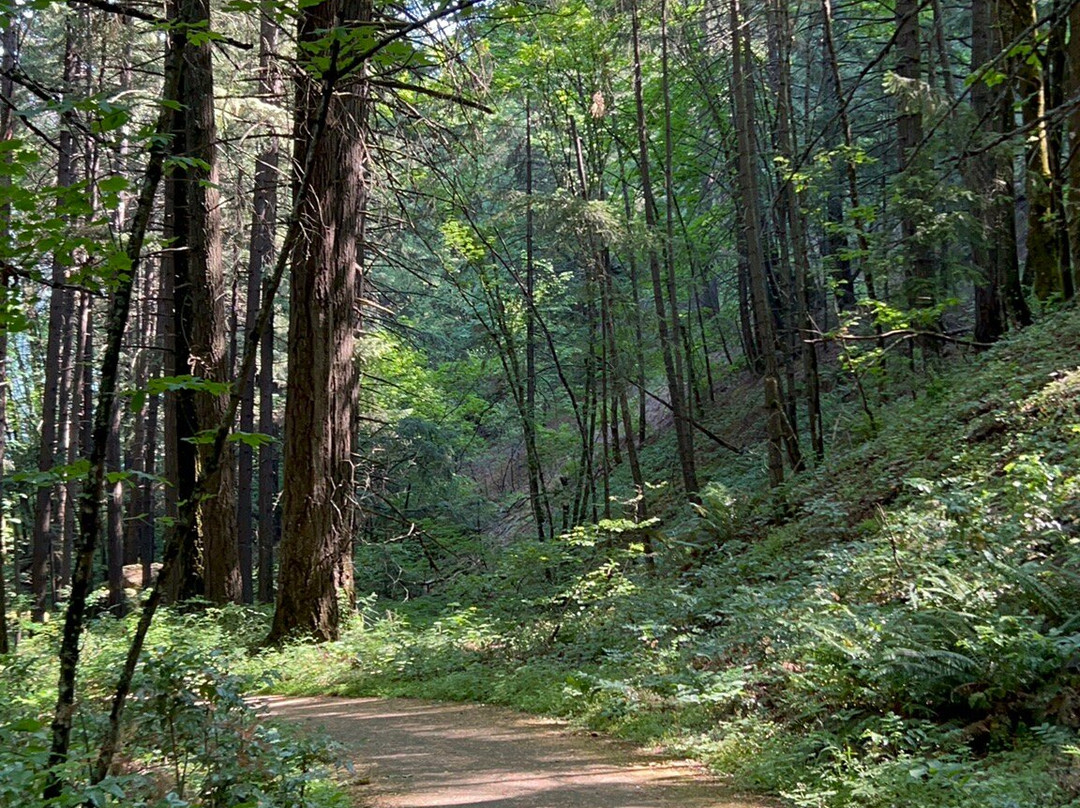 Starvation Creek State Park-Cascade Locks必去景点