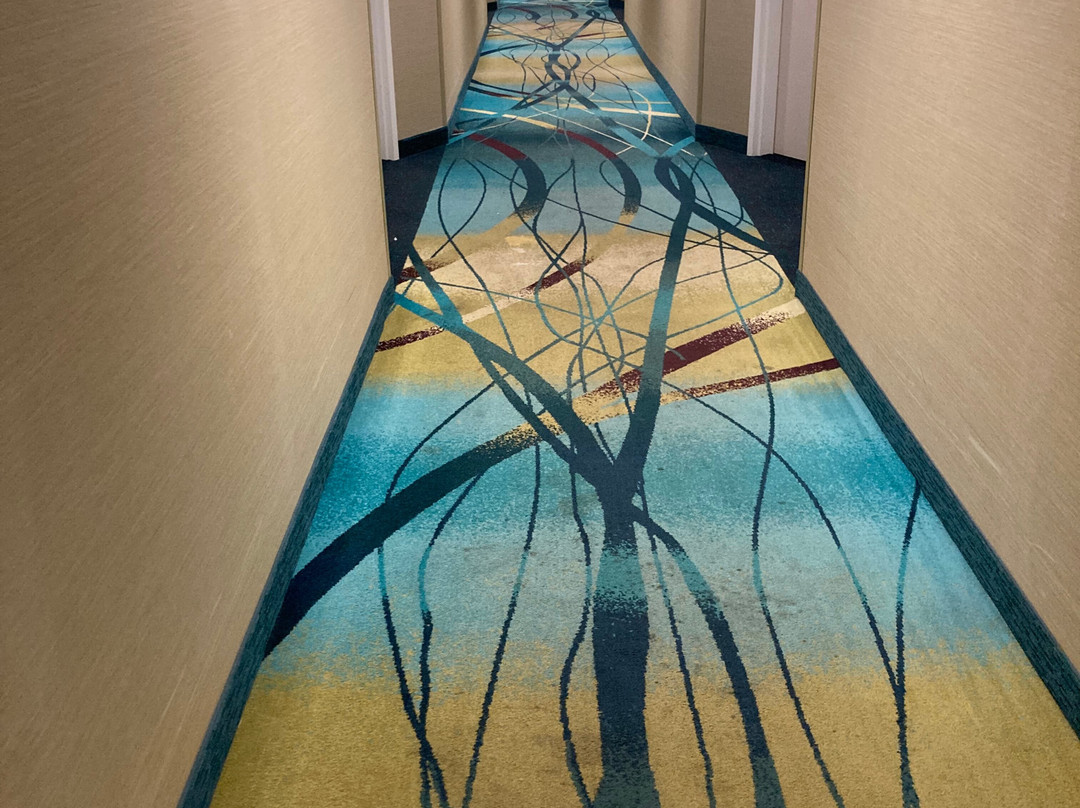 SpringHill Suites Mt. Laurel Cherry Hill主图