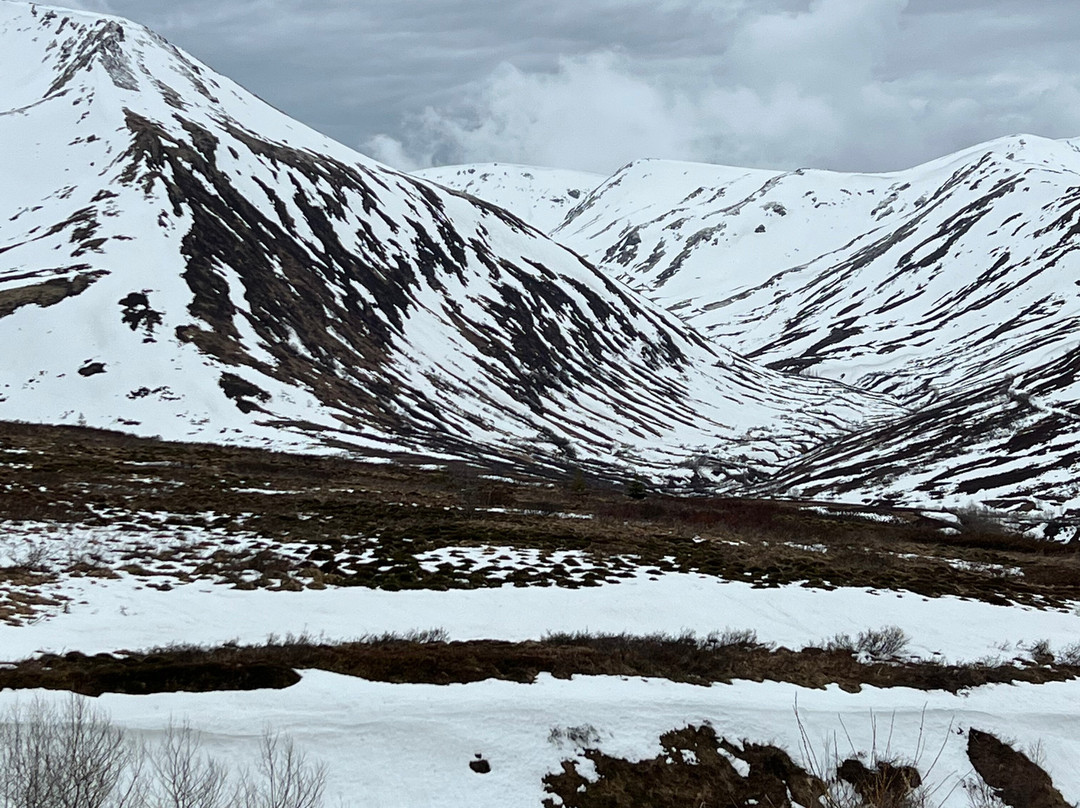 Snowhook Adventure Guides of Alaska景点图片