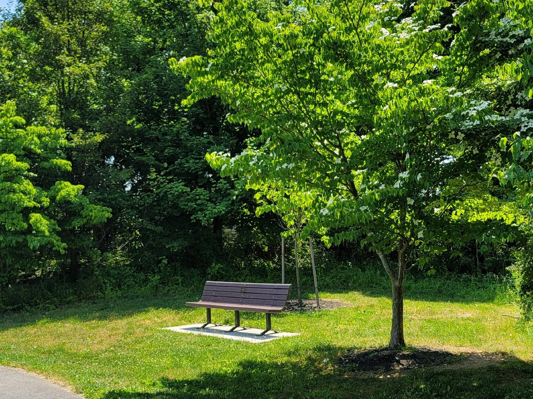 Dayton Oaks Park-Dayton必去景点