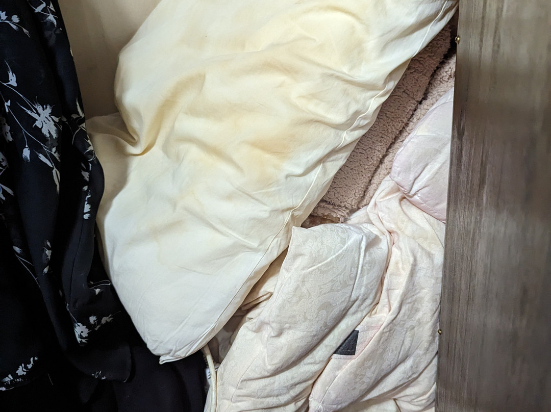 Mintaro Hideaway主图