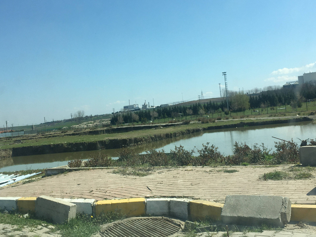 Büyükkarıştıran Millet Bahçesi景点图片