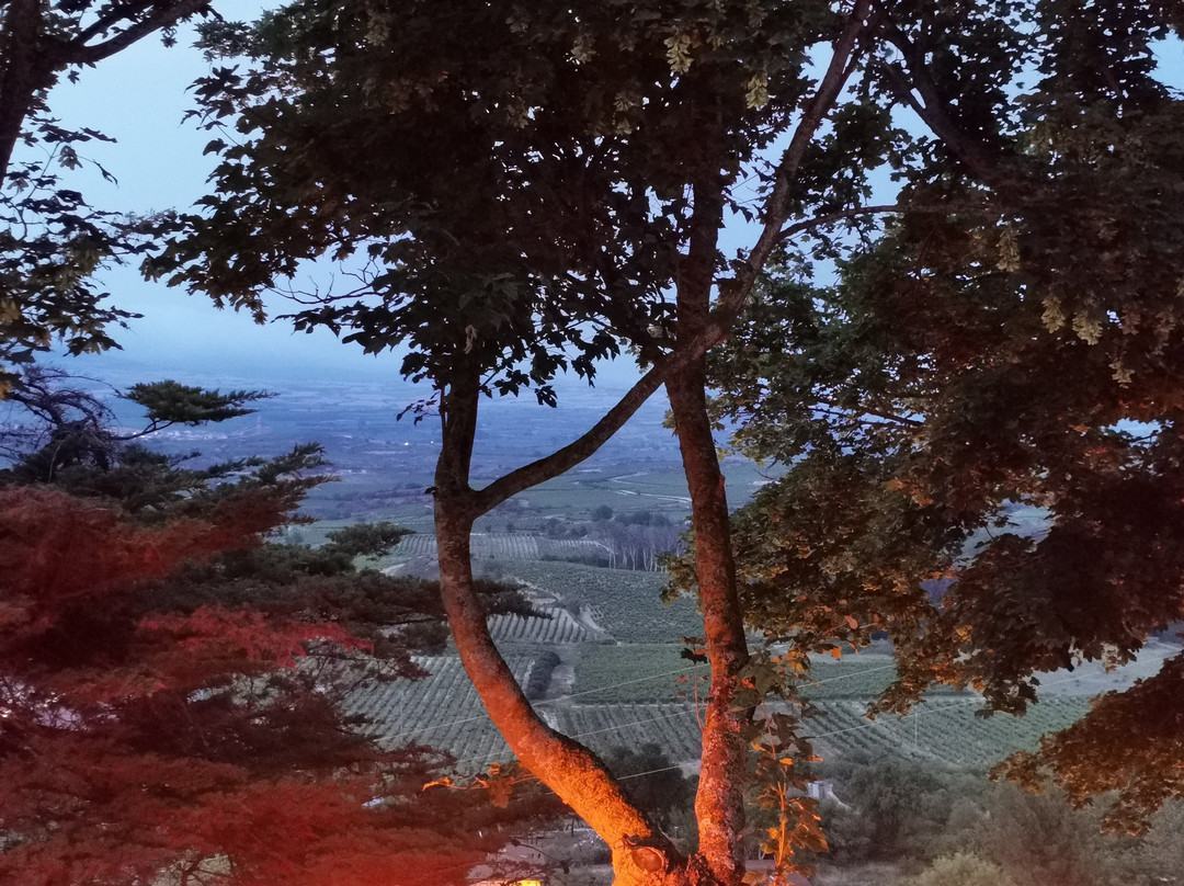 科亚多城堡酒店主图