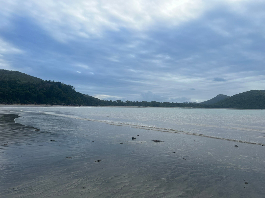 Cape Hillsborough National Park-Cape Hillsborough必去景点