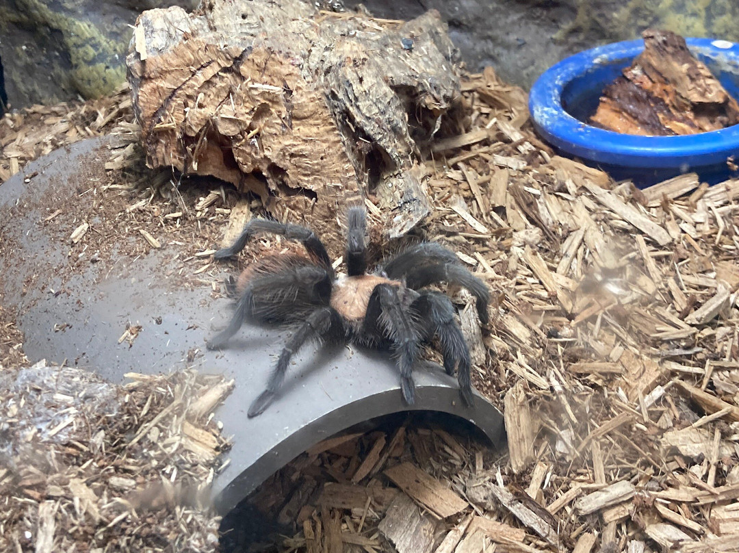 Sternberg Museum of Natural History-Hays必去景点