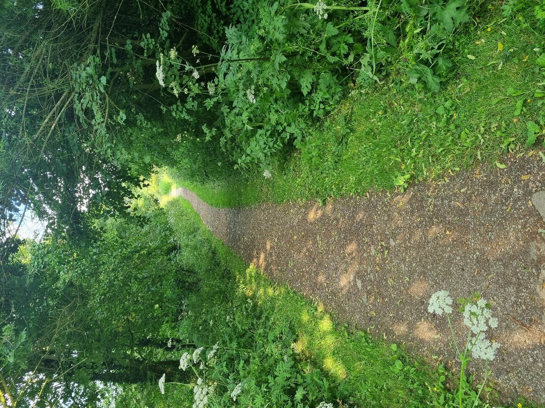 Staveley Nature Reserve景点图片