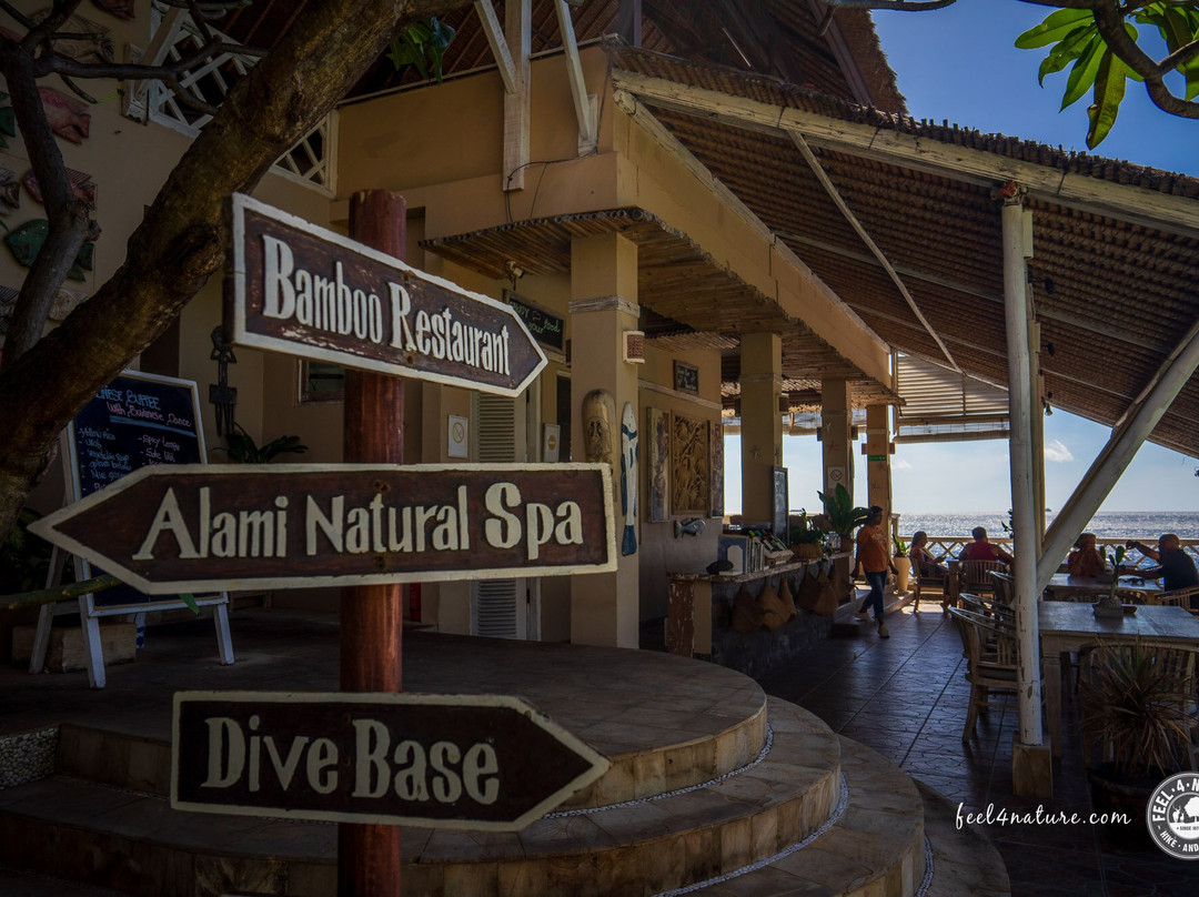 托奇码头图兰度假村&Spa主图