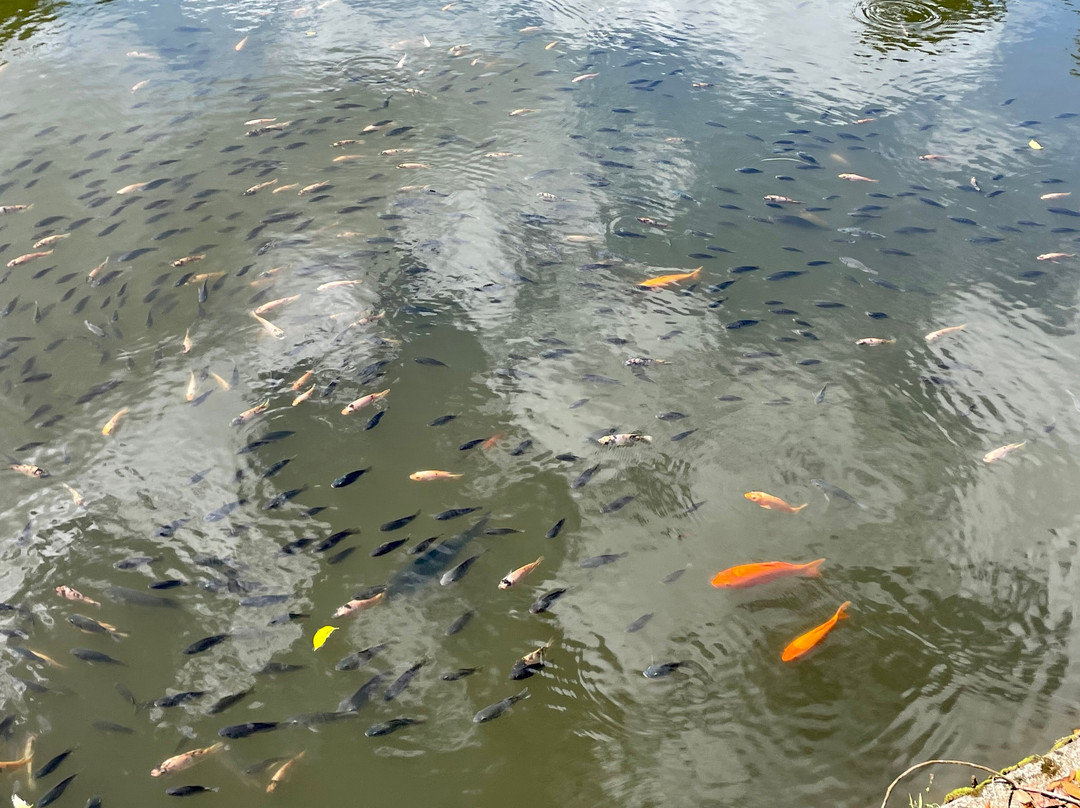 Batukau Mountain-达巴南必去景点