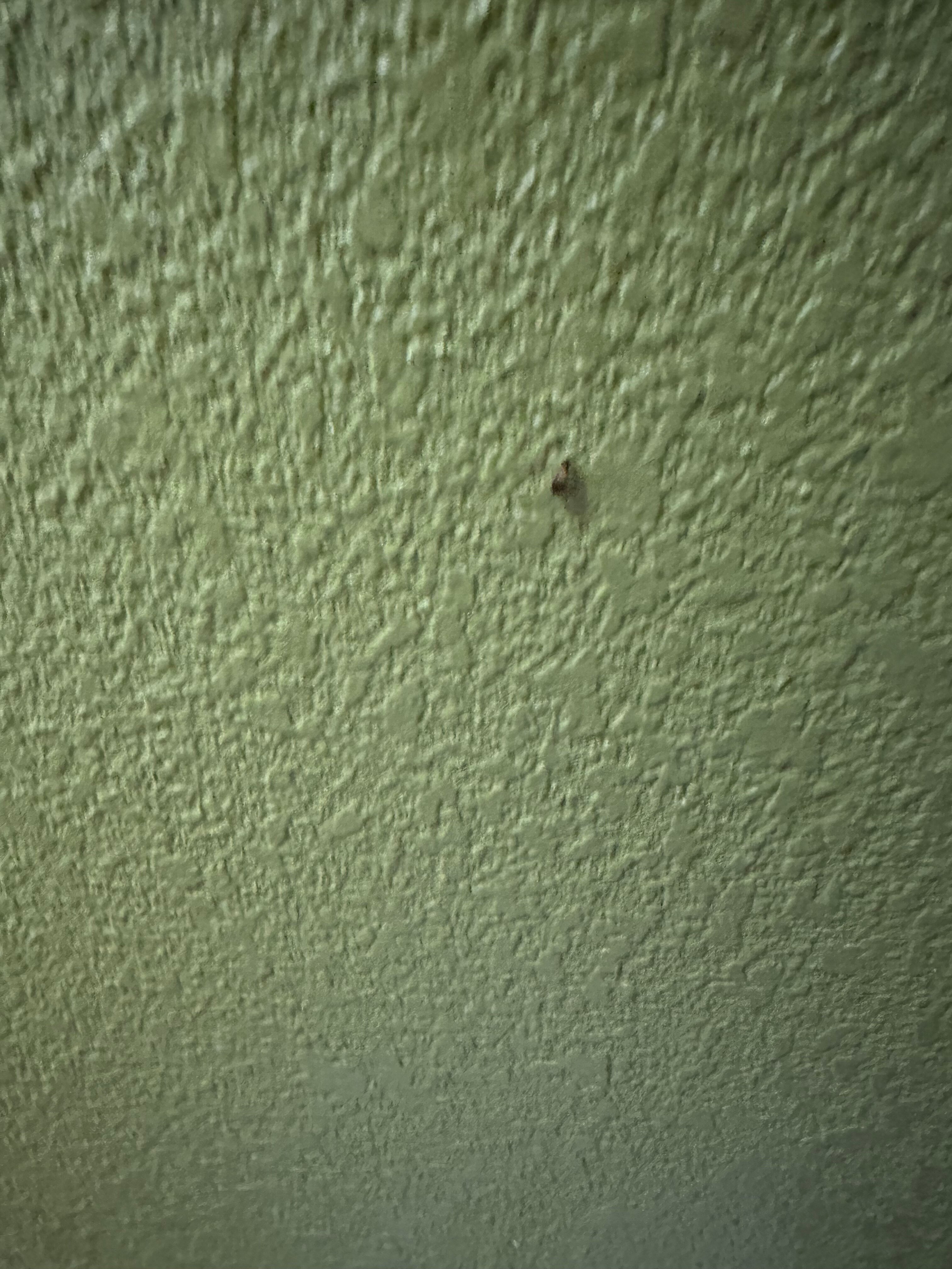 Sleep Inn Charleston - West Ashley-浴室