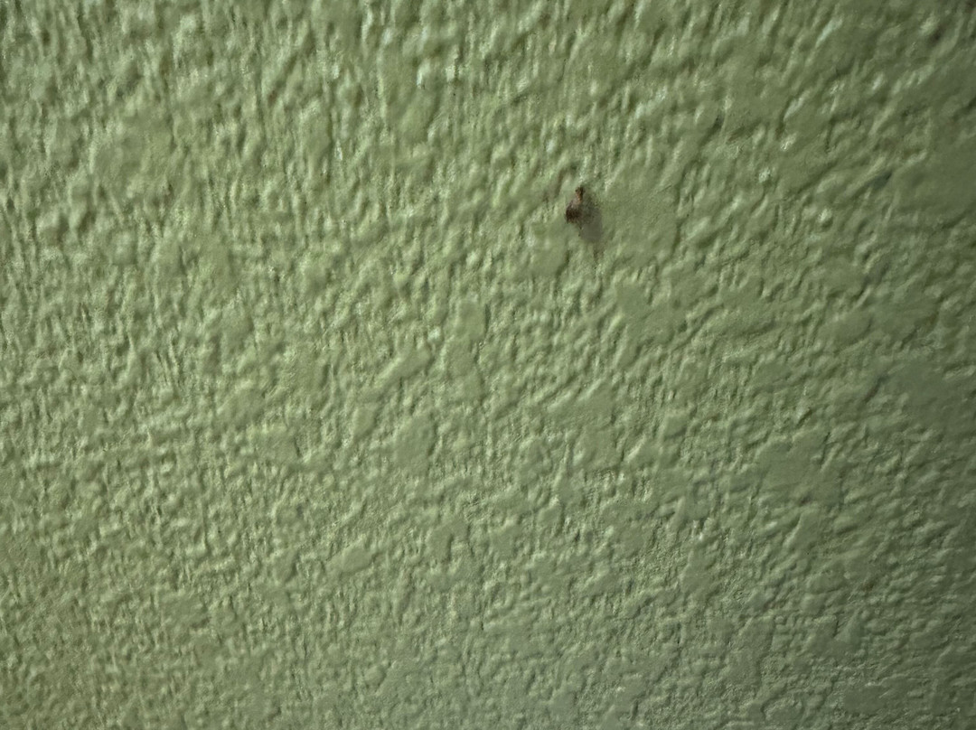 Sleep Inn Charleston - West Ashley主图