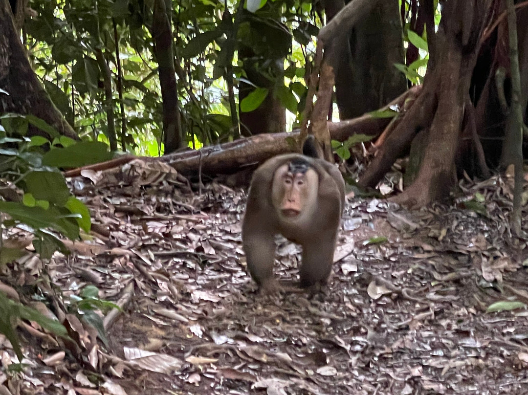 Sumatra Heaven-武吉拉旺必去景点