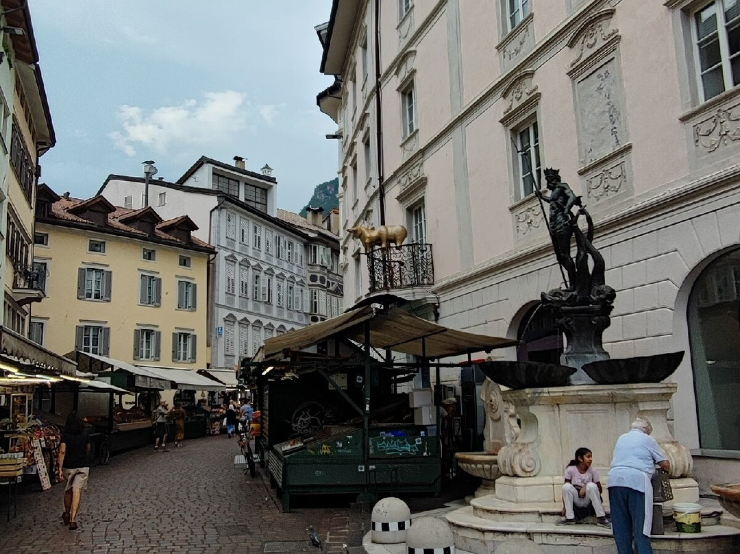 Fontana di Nettuno景点图片