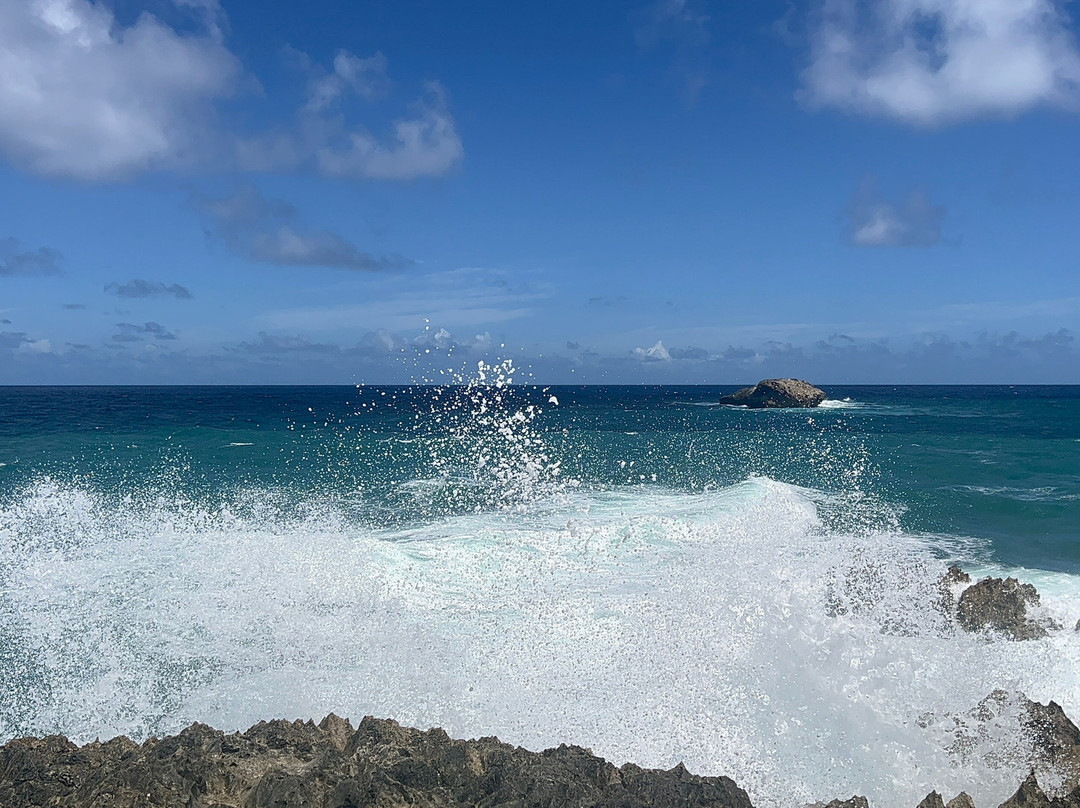 La’ie Point State Wayside-拉叶必去景点