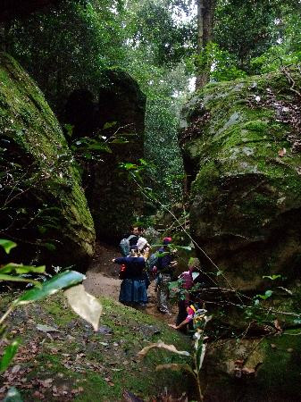 Aboriginal Blue Mountains Walkabout景点图片