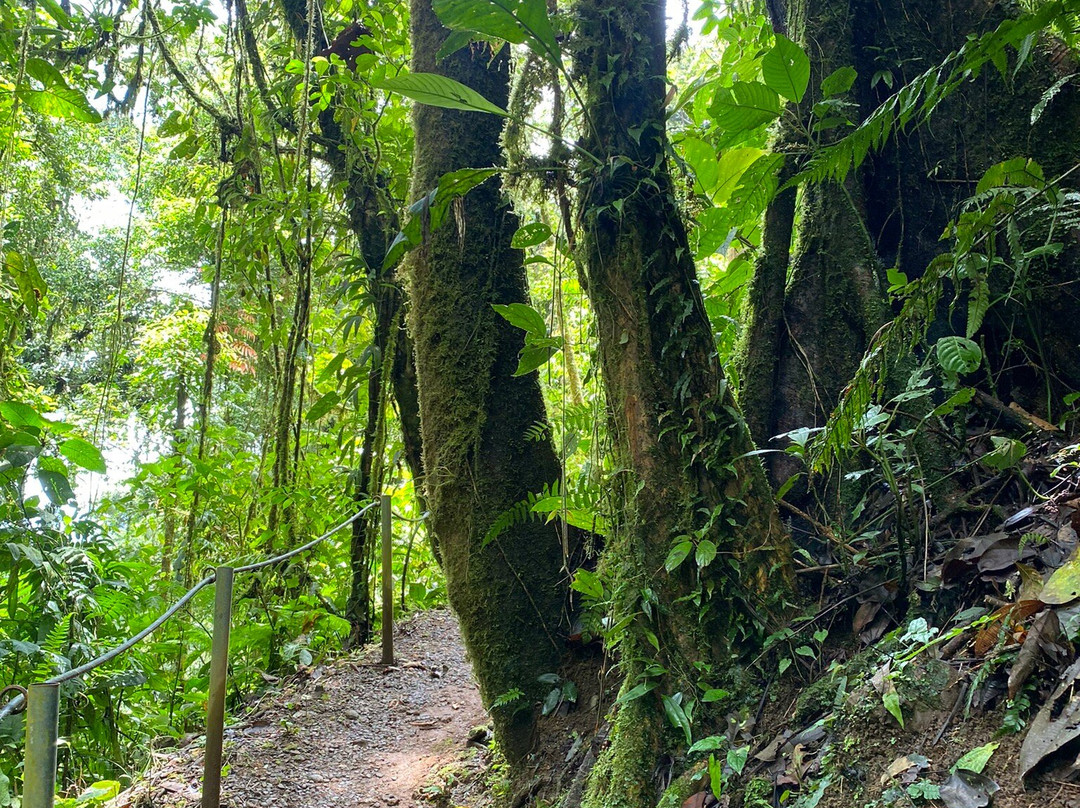Expiatours Costa Rica-El Castillo必去景点