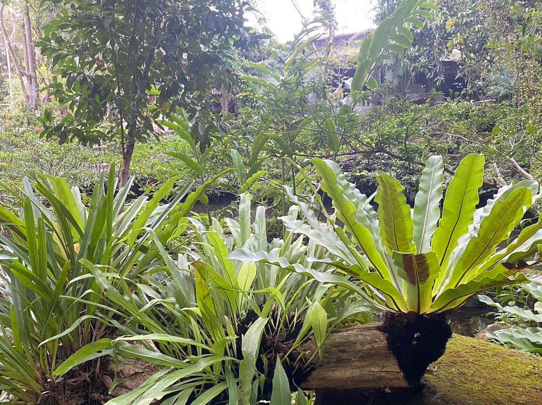 塔姆纳帕度假酒店主图