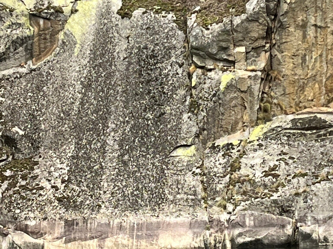 Cañón Del Sil - Ribeira Sacra景点图片