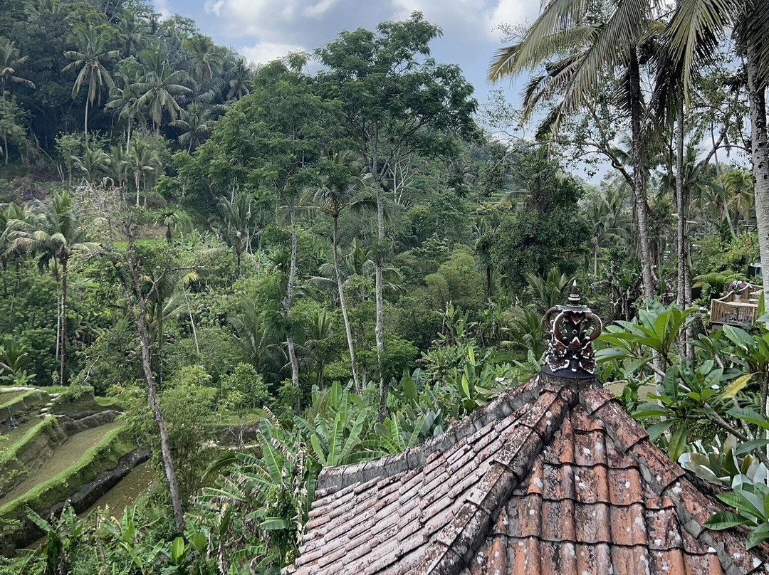 Green Bikes Bali e-bike tours Ubud景点图片