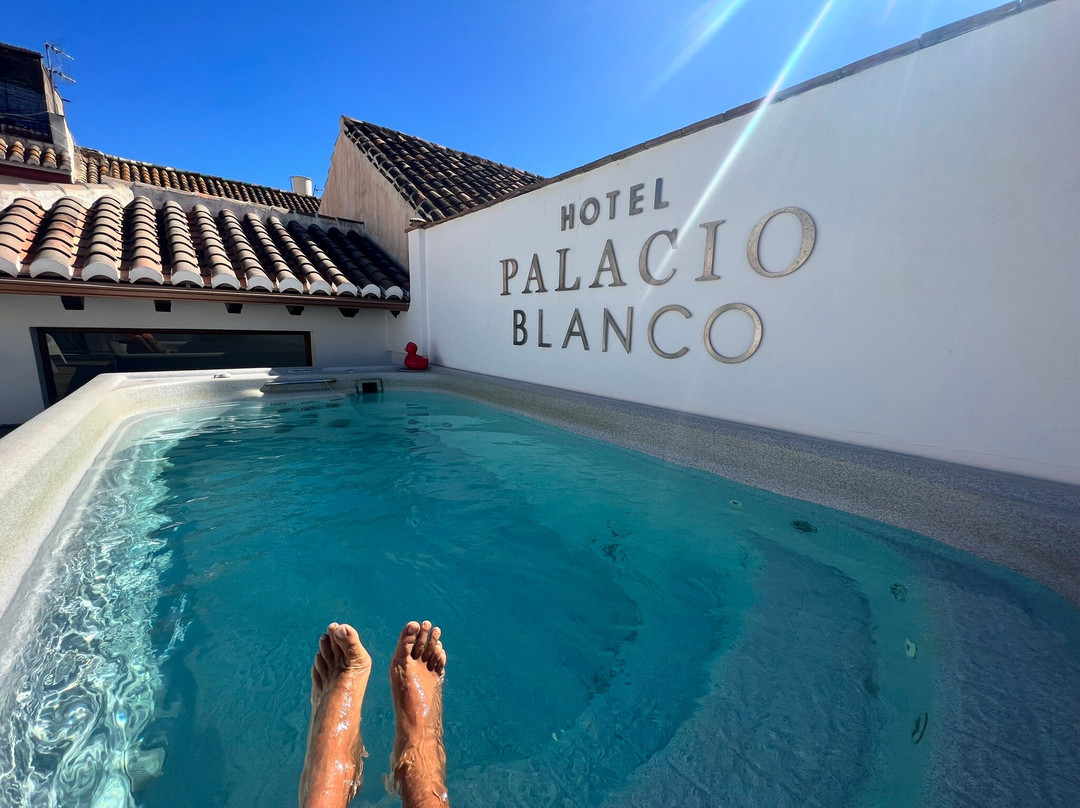 Hotel Palacio Blanco主图