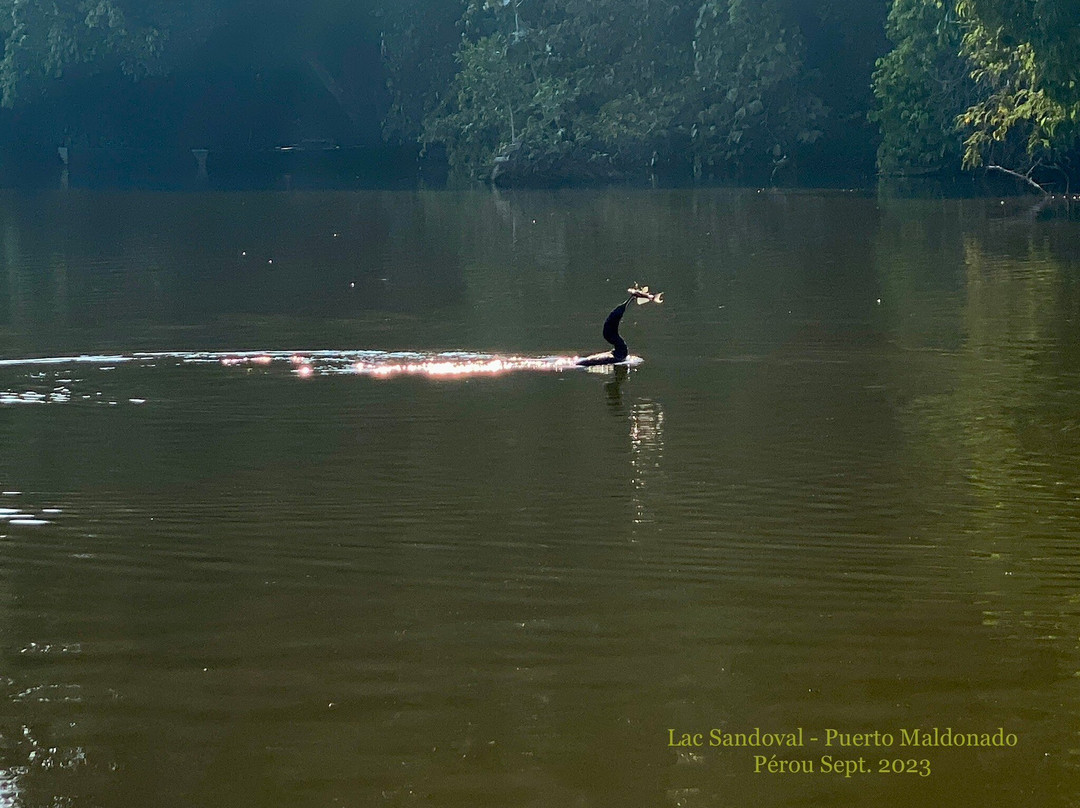 Tambopata National Reserve景点图片