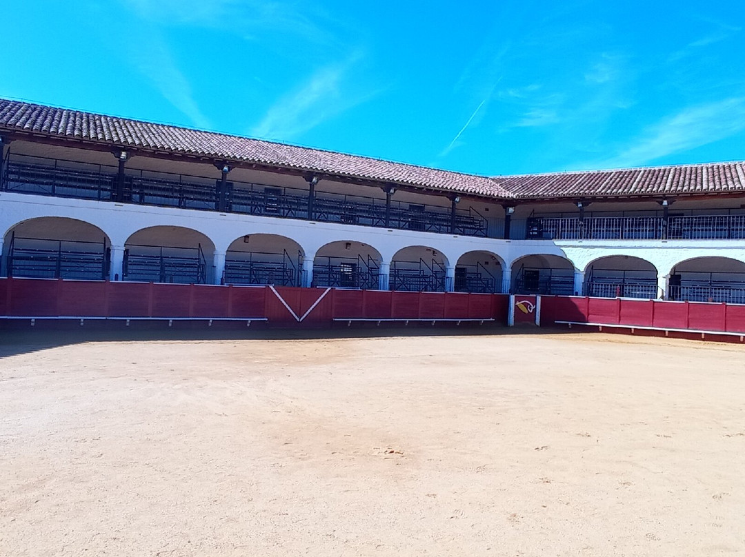 Plaza De Toros De Almaden景点图片