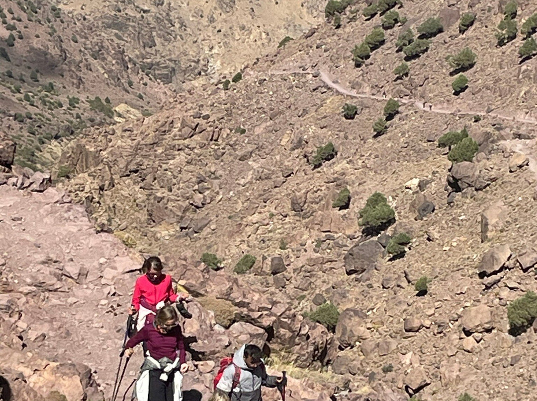 Atlas Mountains & Marrakech Day Tour-马拉喀什必去景点