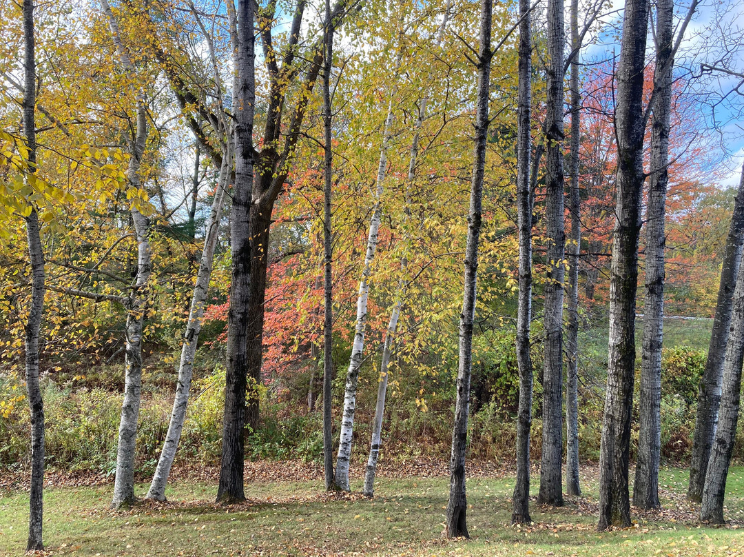 Chesterfield Inn主图