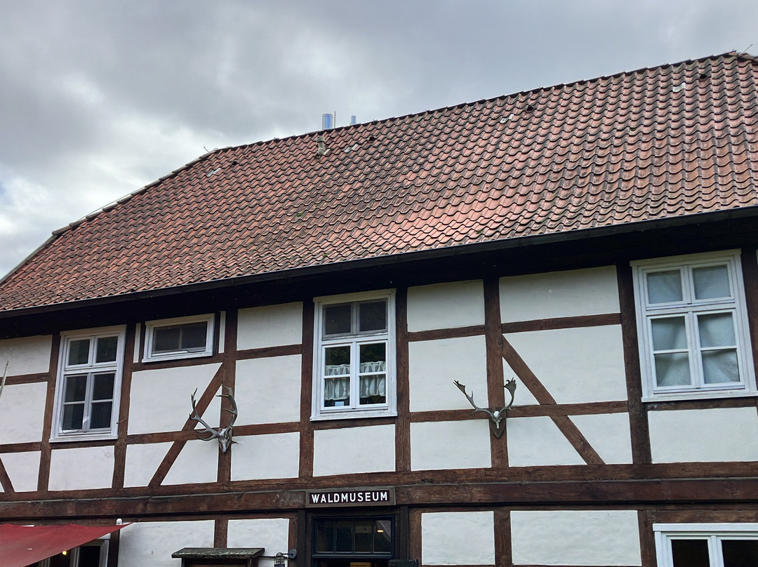 Naturum Göhrde Waldmuseum-Gohrde必去景点