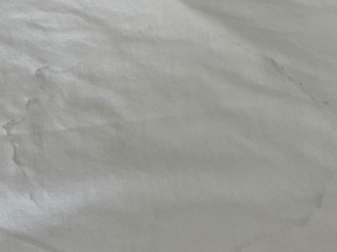 Hyatt Place Detroit/Livonia主图