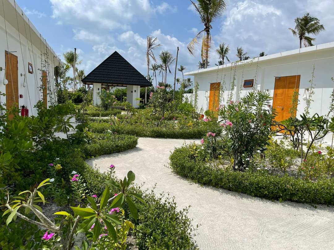 Joy Island Maldives by Cocoon Collection主图