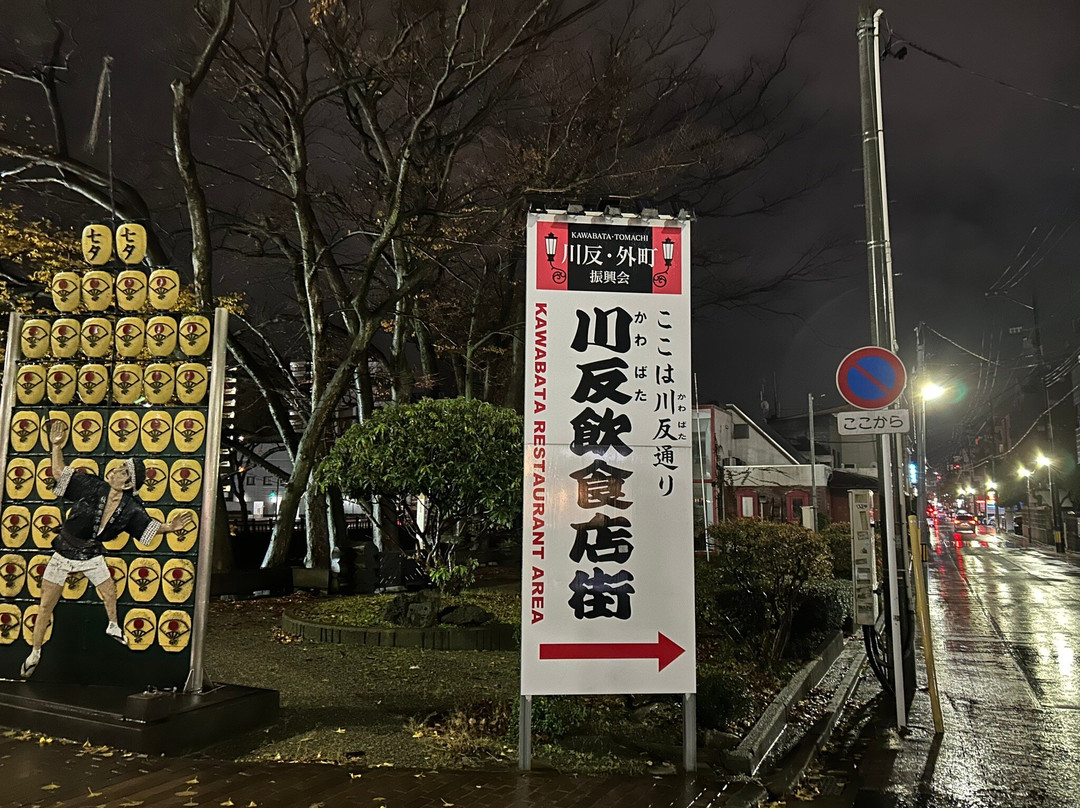 Kawabata Street景点图片